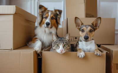 Moving House with Pets: A Comprehensive Guide